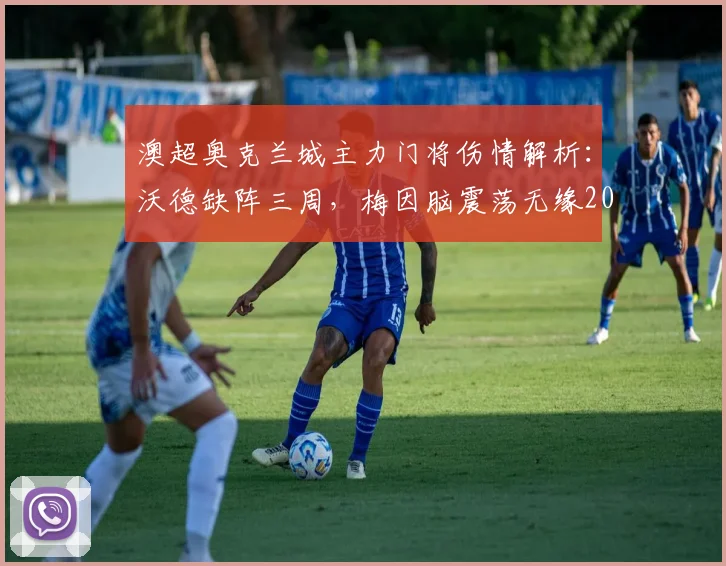 澳超奥克兰城主力门将伤情解析:沃德缺阵三周,梅因脑震荡无缘2026赛季关键战